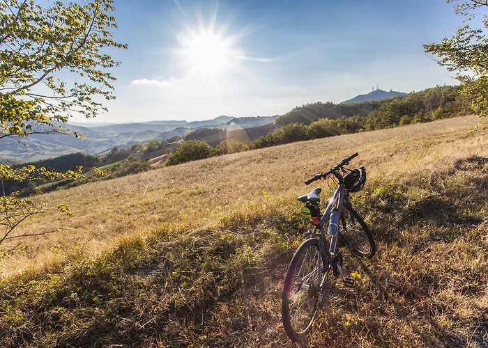 Ristorante San Carlo 호텔